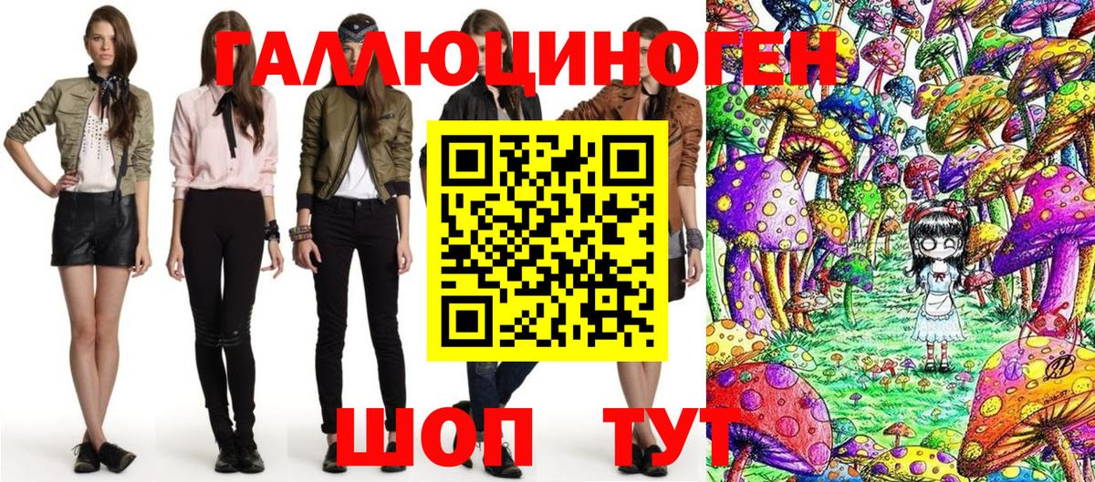 Псилоцибиновые грибы GOLDEN TEACHER  цены наркотик  Киселёвск  Вход с VPN 